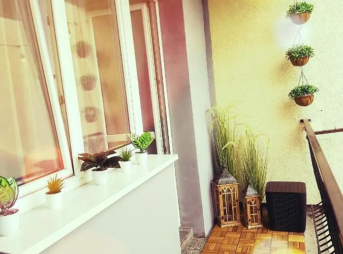 Apartment Sweet Chocolate